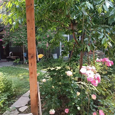 בית הארחה номер у моря, бассейн, сад, мангал