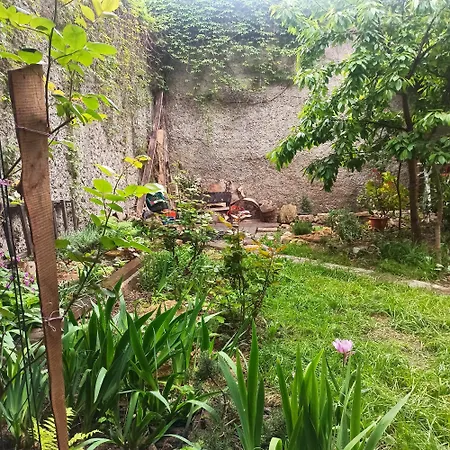 номер у моря, бассейн, сад, мангал 3* Odessa