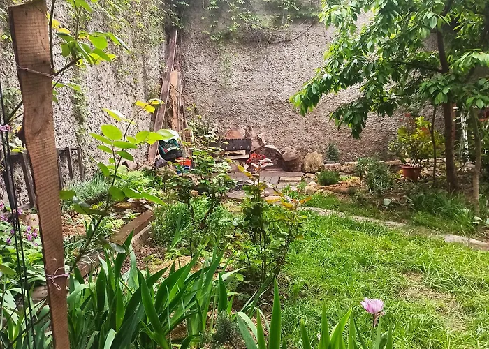 номер у моря, бассейн, сад, мангал 3* Odessa